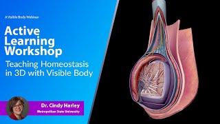 Active Learning Workshop | Teaching Homeostasis in 3D with Visible Body