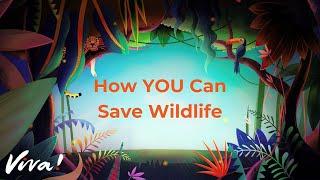 How YOU Can Save Wildlife - Gorilla Wildlife Animation | Viva!