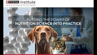 Putting the Power of Nutrition Science Into Practice