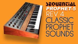 SEQUENTIAL PROPHET-5 REV4 PATCHES | "CLASSIC PROPHET" Soundset | No Talking