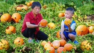 摘一篮红栗南瓜，金黄粉糯软嫩香甜，初秋最美南瓜味|Roasted Pumpkin【闽湖阿嬷Fujian Grandma】