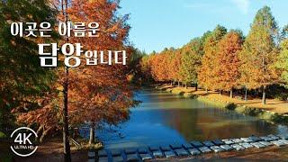 2023 담양 관광 사진·UCC 공모전 수상작 우수상 | 관방제림 | 메타세쿼이아길 | 메타프로방스 | 소쇄원 | 죽녹원 | 담양호 | 담양여행 | 남도여행지