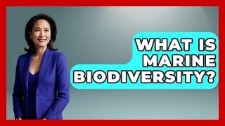 What Is Marine Biodiversity? - Ecosystem Essentials