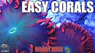 SOFT CORALS - Easy, Low Maintenance, Hardy Corals For Beginners - Hilary Jaffe