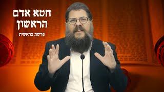 מתחילים פרשת בראשית : סיפורו המלא של חטא אדם הראשון ! הרב שניאור אשכנזי