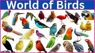 Meet 220 Incredible Colorful Birds with Names, Images, and Videos