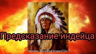 Предсказание индейца - Автор Валерия Кольцова, чит. Губернаторова Лидия