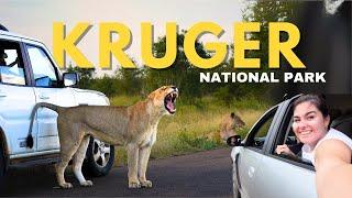 Affordable Self-Drive Safari in Kruger National Park: Budget Tips & Essential Guide