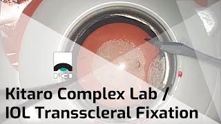 Kitaro Complex Lab |Training Kit | Small Pupil Management & Weak Zonules | Exclusive | FCI Cataract