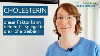 Dieser Faktor kann deinen Cholesterinspiegel erhöhen! | Hormonanalyse | Sarah Kleber