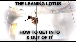 Leaning Lotus - Tutorials by Elizabeth_bfit