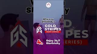 Why you should buy GOLD STRIPES COURT SERIES