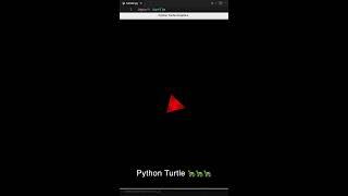 Draw amazing designs using Python Turtle 