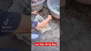 Tháo Khuôn Đổ Chậu 40 Úp Đáy Mới Nhất