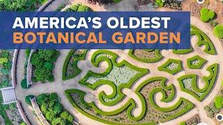 Why one of America's first botanical gardens came to St. Louis