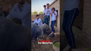 Main dodhii  #billudgk_Funy_tiktok_Video #funnyvideo #viralvideo #billudgkteam #viralshorts #funny