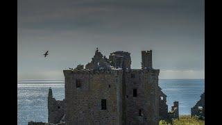 Dunnotar swim