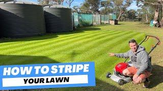 How To Stripe Your Lawn (It's actually extremely easy)