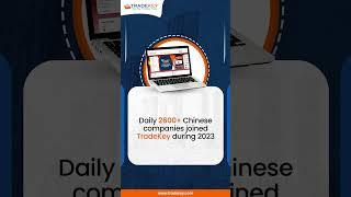 Tradekey.com Website Stats | SEO | B2B
