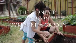 Sidney P. Osborn: An Urban Garden Success