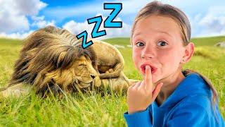 Nastya and the African Safari Trip - Video Compilation