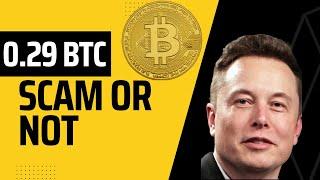 Crypto news | Elon Musk Crypto-giveaway: SCAM or NOT?