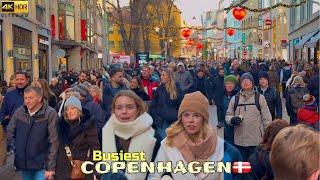 Extremely Busiest Downtown CopenhagenDenmark | Christmas 2024 | 4K Walking Tour