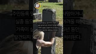 무면허 만취 운전자 잡고 보니 13년 전 '사망 처리'된 남성