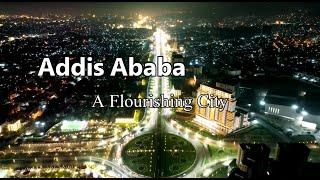 Addis Ababa in the Eyes of Africa Urban Forum Participants