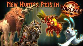 The War Within's NEW HUNTER PETS are AMAZING!