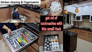 Get Rid of Cockroaches with this small Hack️|| Kitchen Cleaning & Organization ||