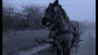 grant campbell/ the burrowers/ all the pretty little horses/ the turin horse