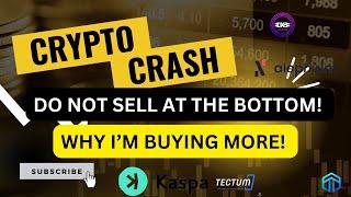 WHY I BOUGHT MORE KASPA, ALEPHIUM, TECTUM, QORPO, DYNEX, MANTA AND MORE, DO NOT SELL RED!