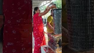 oru kodi sivalingam aalayam sathyamangalam 9442838554