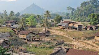 Beautiful Village in Laos หมู่บ้านที่สวยที่สุดที่เคยเห็น /หมู่บ้านลืกลับที่กลางป่าลืก Rural in Laos.