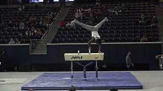 Fred Richard - Pommel Horse - 2022 Winter Cup - Senior Men Day 1