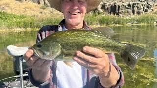 Top 10 Largemouth Bass Fishing Lakes