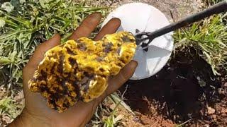 MAN FINDS GOLD NUGGET OF OVER 1 KG UNDER A STONE