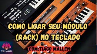 Como Ligar um Módulo (rack) em Um Teclado. by Tiago Mallen #tecladista