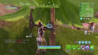 [Fortnite Squad solo]