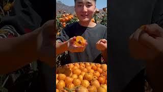 Farm Fresh Ninja Fruit Cutting | Oddly Satisfying Fruit Ninja #1