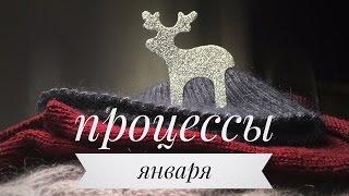 Процессы января