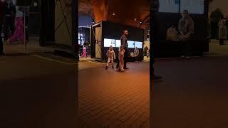 Остекление балконов в спб цены ЖК Центральный