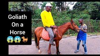 Goliath wa Bungoma Isaac first time riding a horse . Mguu inaguza chini.