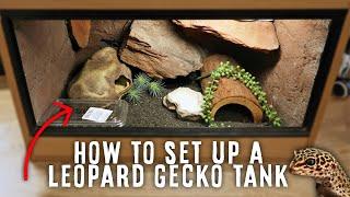 A Beginner's Guide To Setting Up A Leopard Gecko Tank