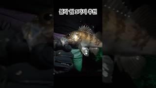 볼락 웜 3가지 추천 #fishing #lure #낚시 #볼락 #웜 #lurefishing #shorts #shortsvideo