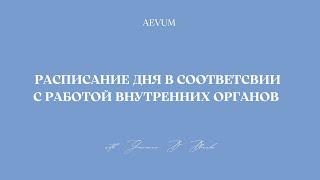 Циклы и ритмы работы органов - формирование сферы ресурсного здоровья.