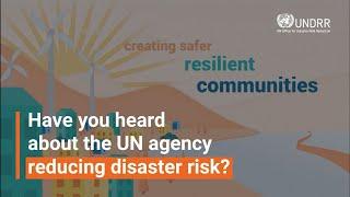 Have you heard about the UN agency reducing disaster risk? | UNDRR