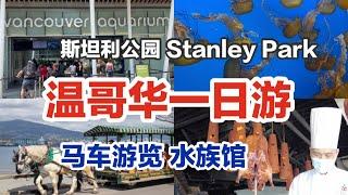 温哥华一日游｜斯坦利公园最酷游览方式是？Stanley Park｜马车游园｜水族馆｜海边走走 Granville桥下的高级中餐厅 One Day in YVR 带孩子怎么逛