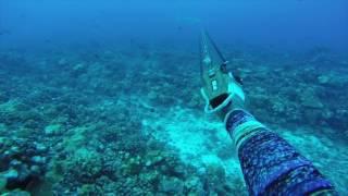 JOINTS SPEARFISHING TAHITI - KO SHOTS WITH VAU 100 - INVERT ROLLER SPEARGUN - FRENCH POLYNESIA